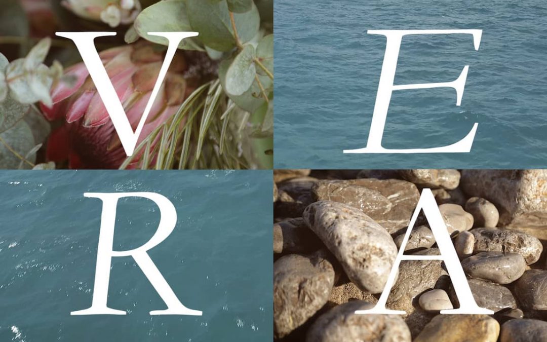 Editorial – VERA (verdadera)